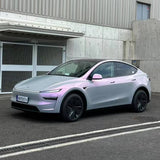 Glossy Gray Pink Color PPF