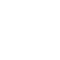 RACELINE AUTO